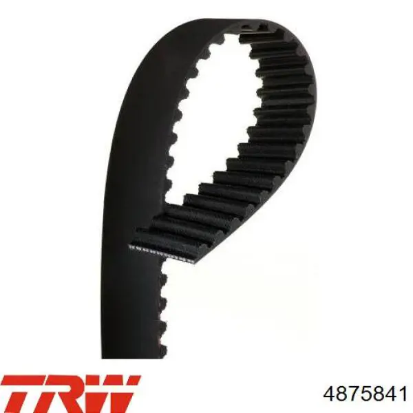 Зубчастий ремінь TRW 4875841 ціна, від 14.39 USD