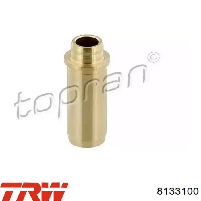 Купити 8133100 TRW Направляюча клапана