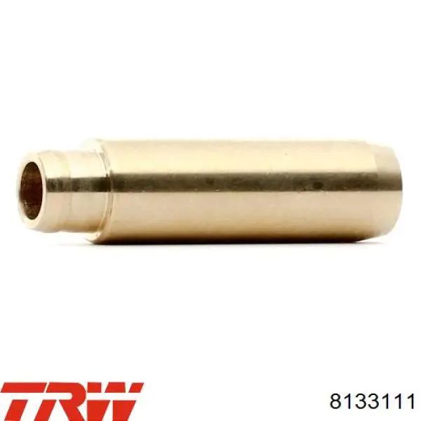 Направляюча втулка клапана TRW 8133111 ціна, від 2.34 USD