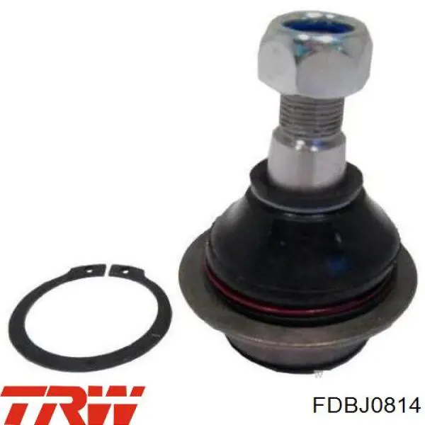 Купити FDBJ0814 TRW Кульова опора, нижня