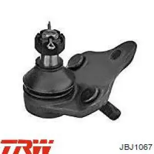 Купити JBJ1067 TRW Кульова опора, нижня