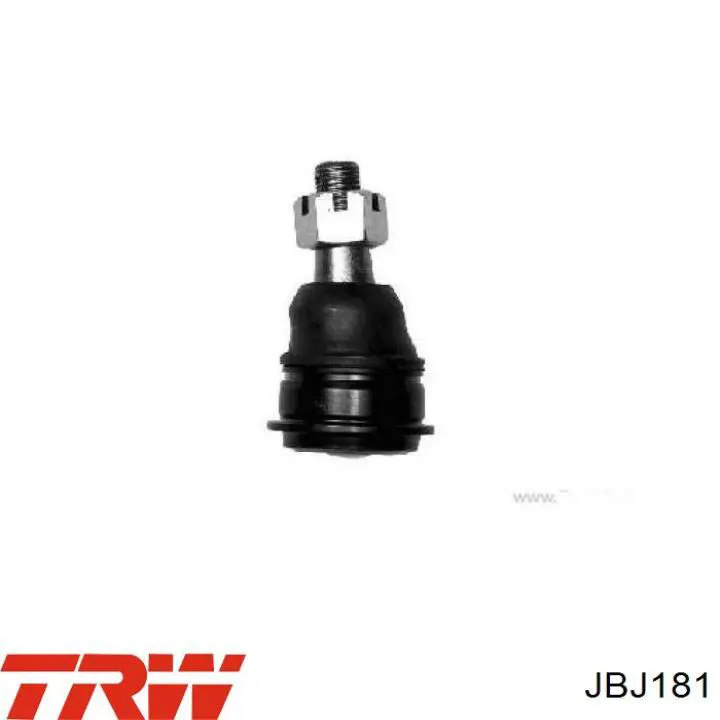 Купити JBJ181 TRW Кульова опора, нижня