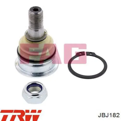 Купити JBJ182 TRW Кульова опора, нижня