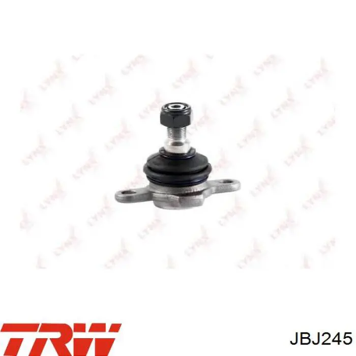 Купити JBJ245 TRW Кульова опора, нижня