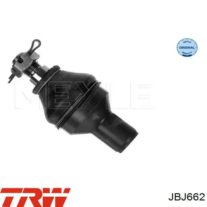 Купити JBJ662 TRW Кульова опора, нижня