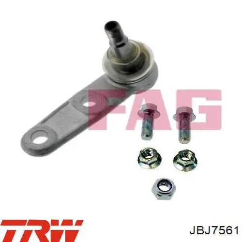 Купити JBJ7561 TRW Кульова опора, нижня