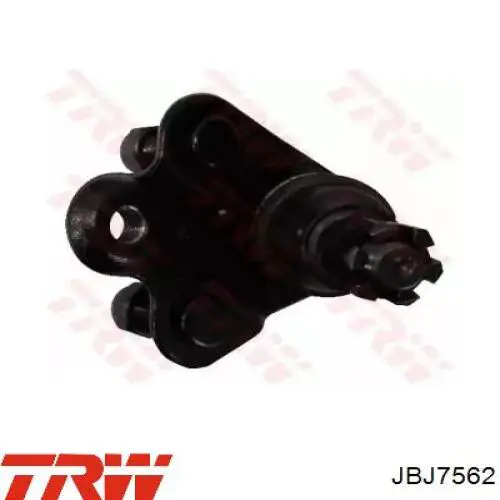 Купити JBJ7562 TRW Кульова опора, нижня, права