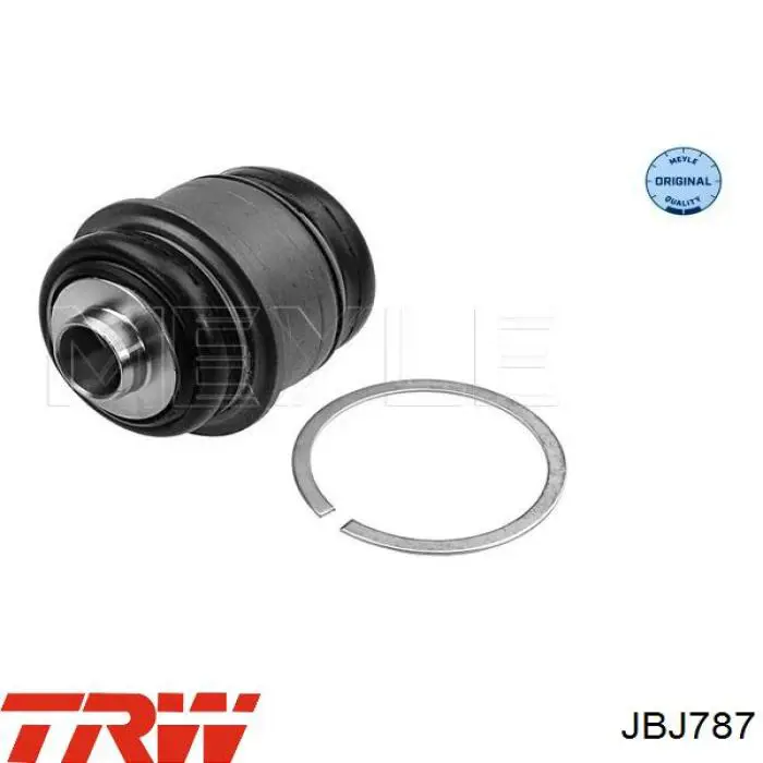 Купити JBJ787 TRW Сайлентблок цапфи задньої