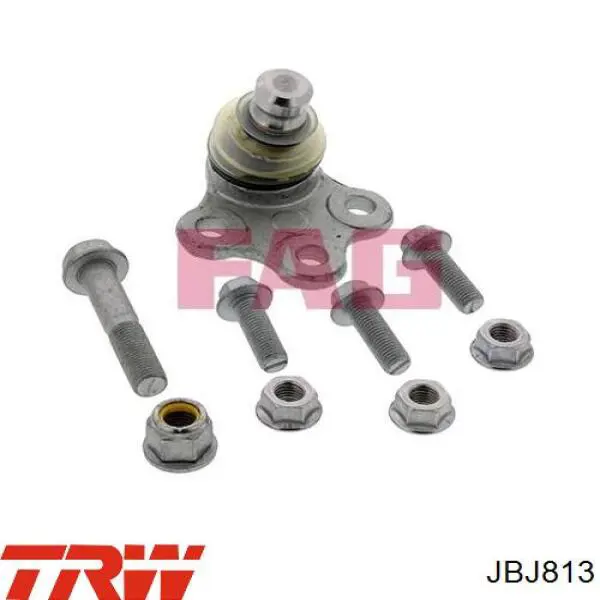 Кульова опора, нижня, ліва TRW JBJ813 ціна, від 13.16 USD