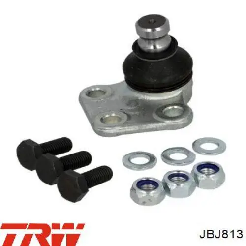 Купити JBJ813 TRW Кульова опора, нижня, ліва