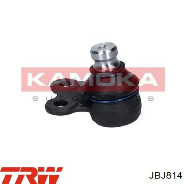 Кульова опора, нижня, права TRW JBJ814