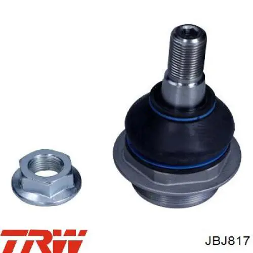 Купити JBJ817 TRW Кульова опора, нижня, ліва