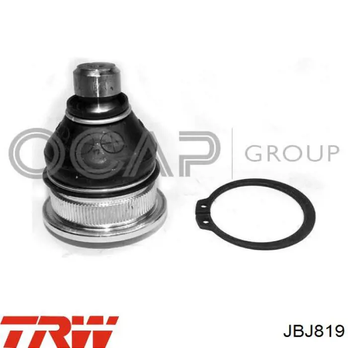 Кульова опора, нижня TRW JBJ819 ціна, від 8.45 USD