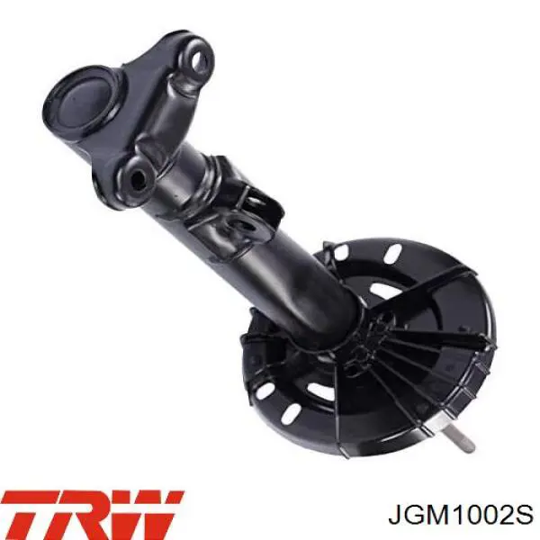 Купити JGM1002S TRW Амортизатор передньої підвіски