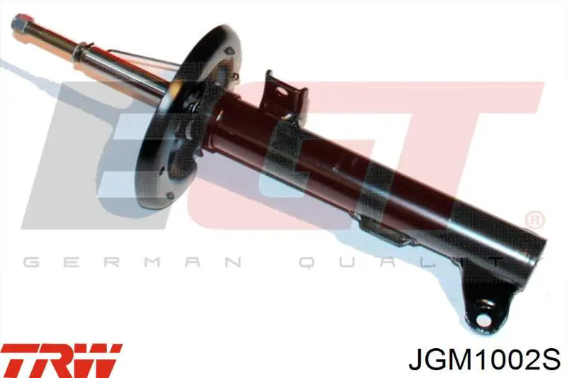 Амортизатори передні TRW JGM1002S