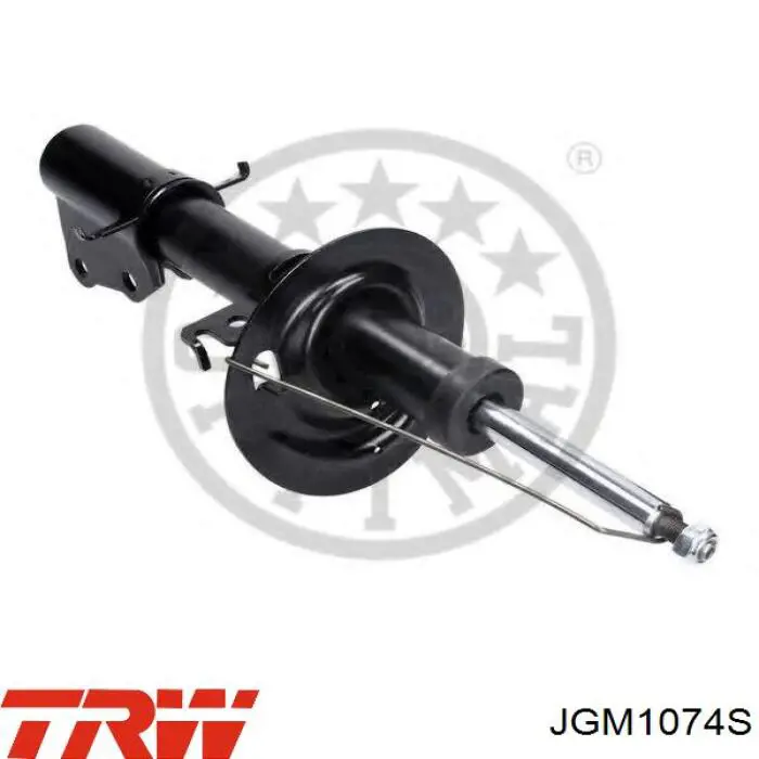 Купити 8660004165 Renault (RVI) Амортизатор передньої підвіски