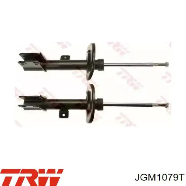 Купити JGM1079T TRW Амортизатор передньої підвіски