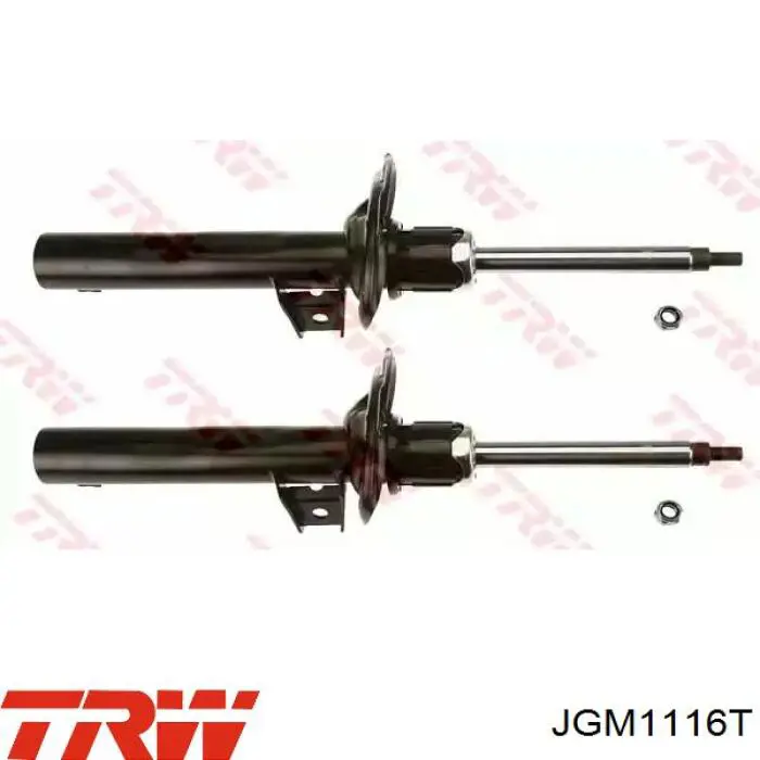 Амортизатор передній RS315910 Raiso