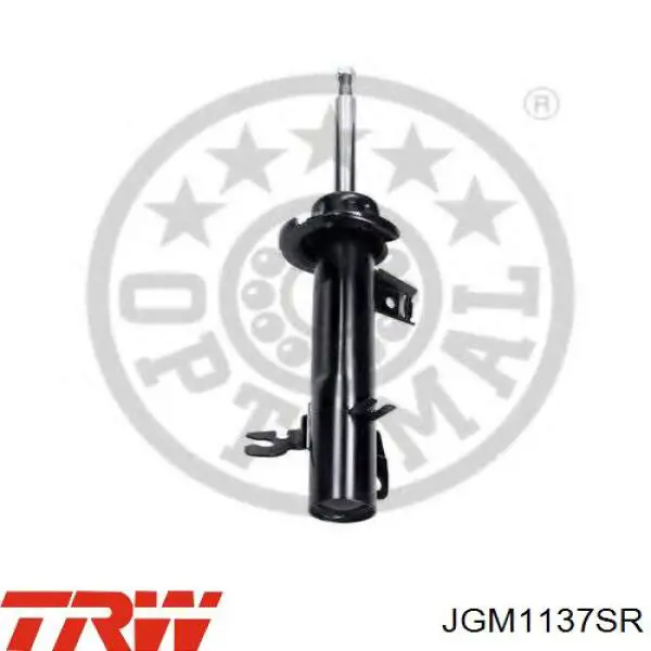 Купити 31316782210 BMW Амортизатор передній, правий