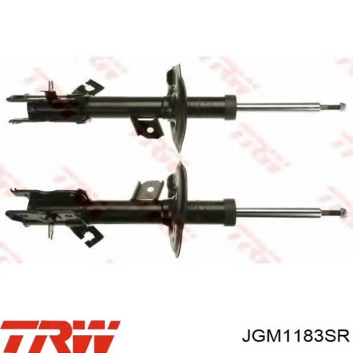 Амортизатор задній, правий TRW JGM1183SR ціна, від 48.52 USD