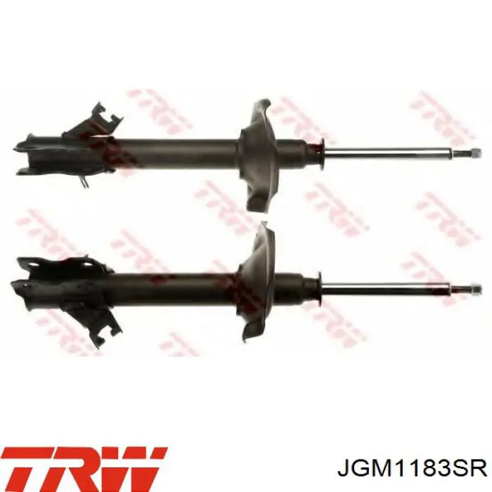Купити JGM1183SR TRW Амортизатор задній, правий