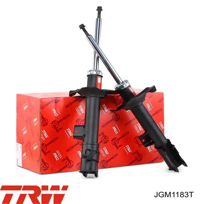 Амортизатор задній, правий JGM1183T TRW