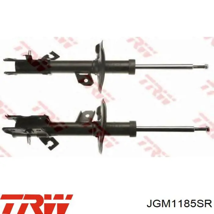 Амортизатор передній, правий JGM1185SR TRW