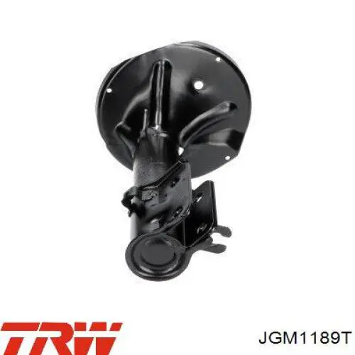 Амортизатор задній, правий JGM1189T TRW