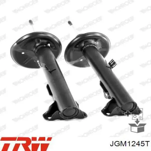 Купити 31311091703 BMW Амортизатора передній лівий