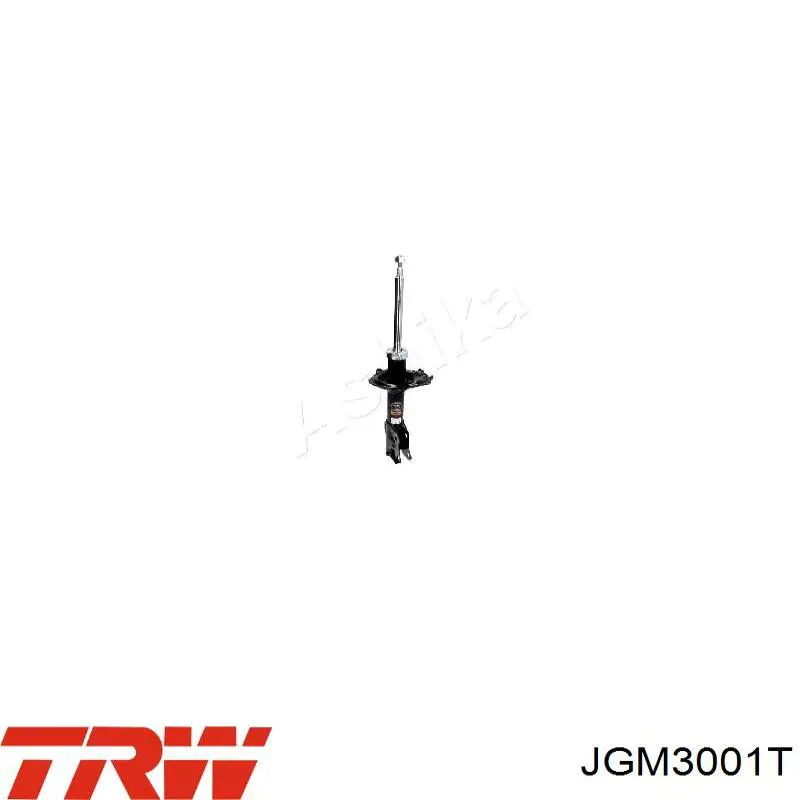 Купити JGM3001T TRW Амортизатор передній, правий