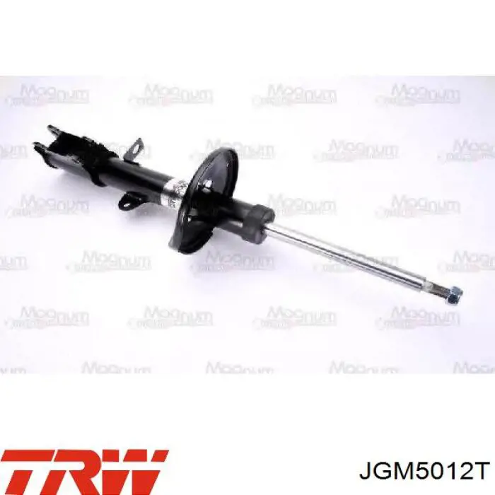 Амортизатор задній, правий JGM5012T TRW