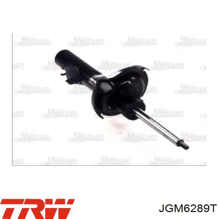 Амортизатори передні Mazda CD8534700B