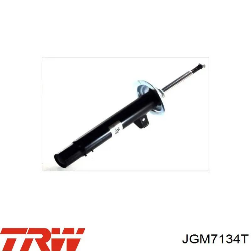 JGM7134T TRW амортизатор передній