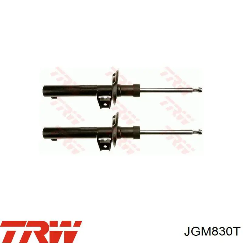 JGM830T TRW амортизатор передній
