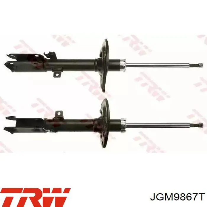 Купити DH1132L Torr Амортизатор задній, лівий