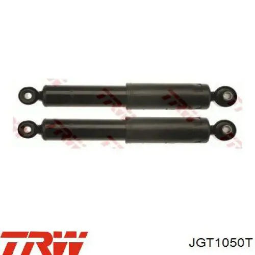 JGT1050T TRW Амортизатори задні
