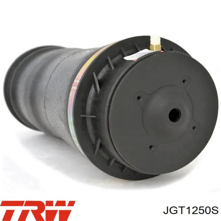 Купити JGT1250S TRW Амортизатор передньої підвіски