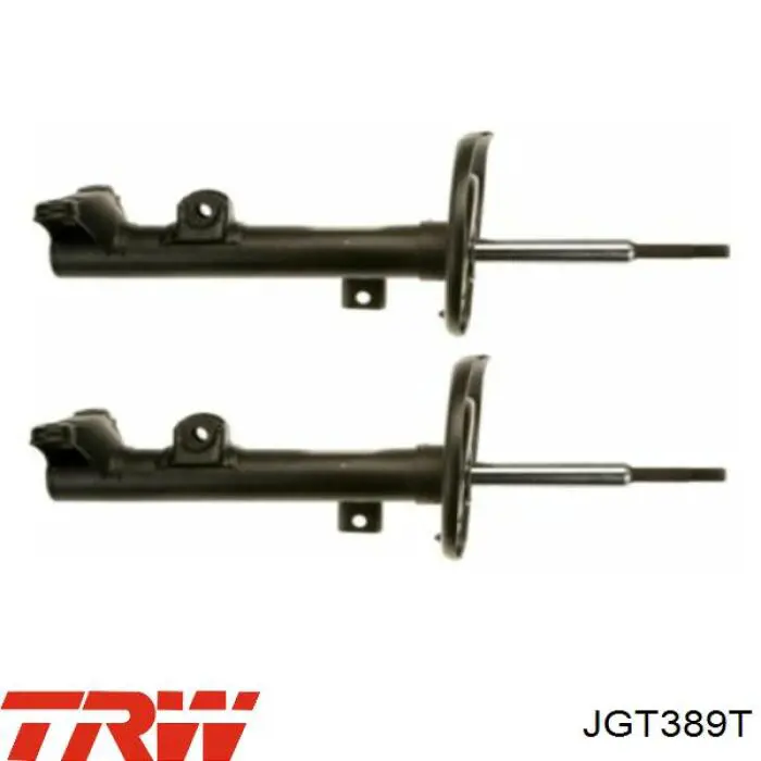 Амортизатор задній JGT389T TRW