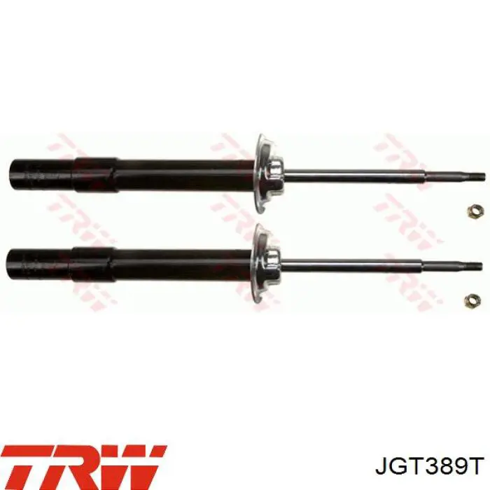 Задній амортизатор TRW JGT389T