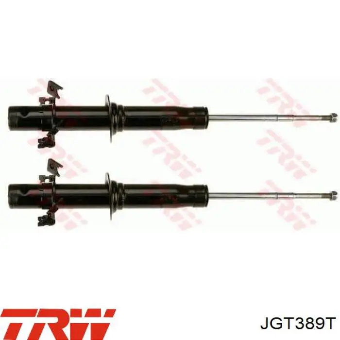 JGT389T TRW Амортизатори задні