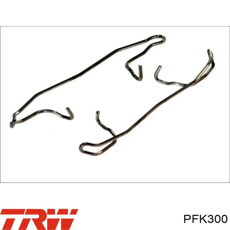 Пружинна засувка супорту TRW PFK300 ціна, від 4.29 USD