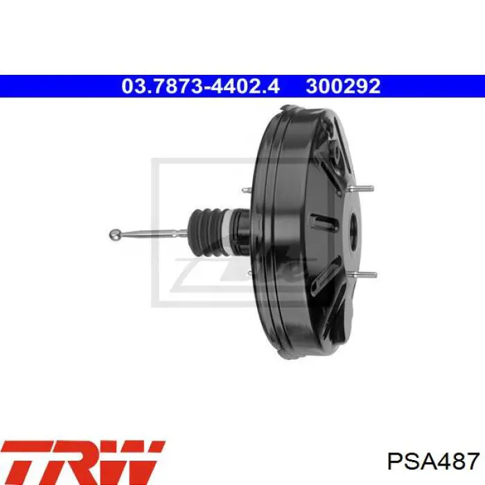 Купити PSA487 TRW ВПГ