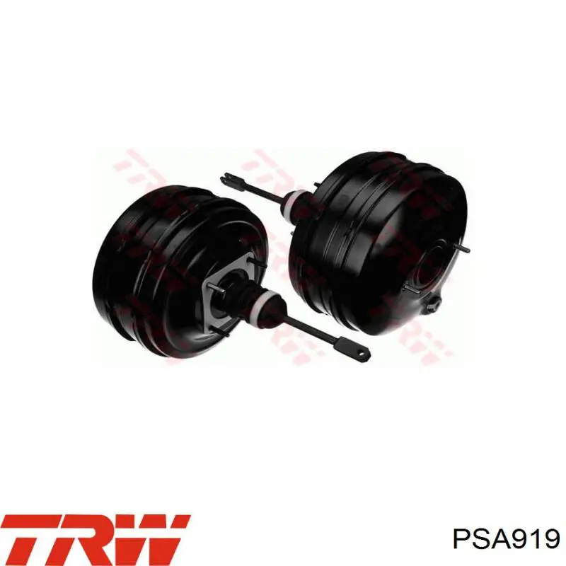 Вакуумника TRW PSA919 ціна, від 317.11 USD