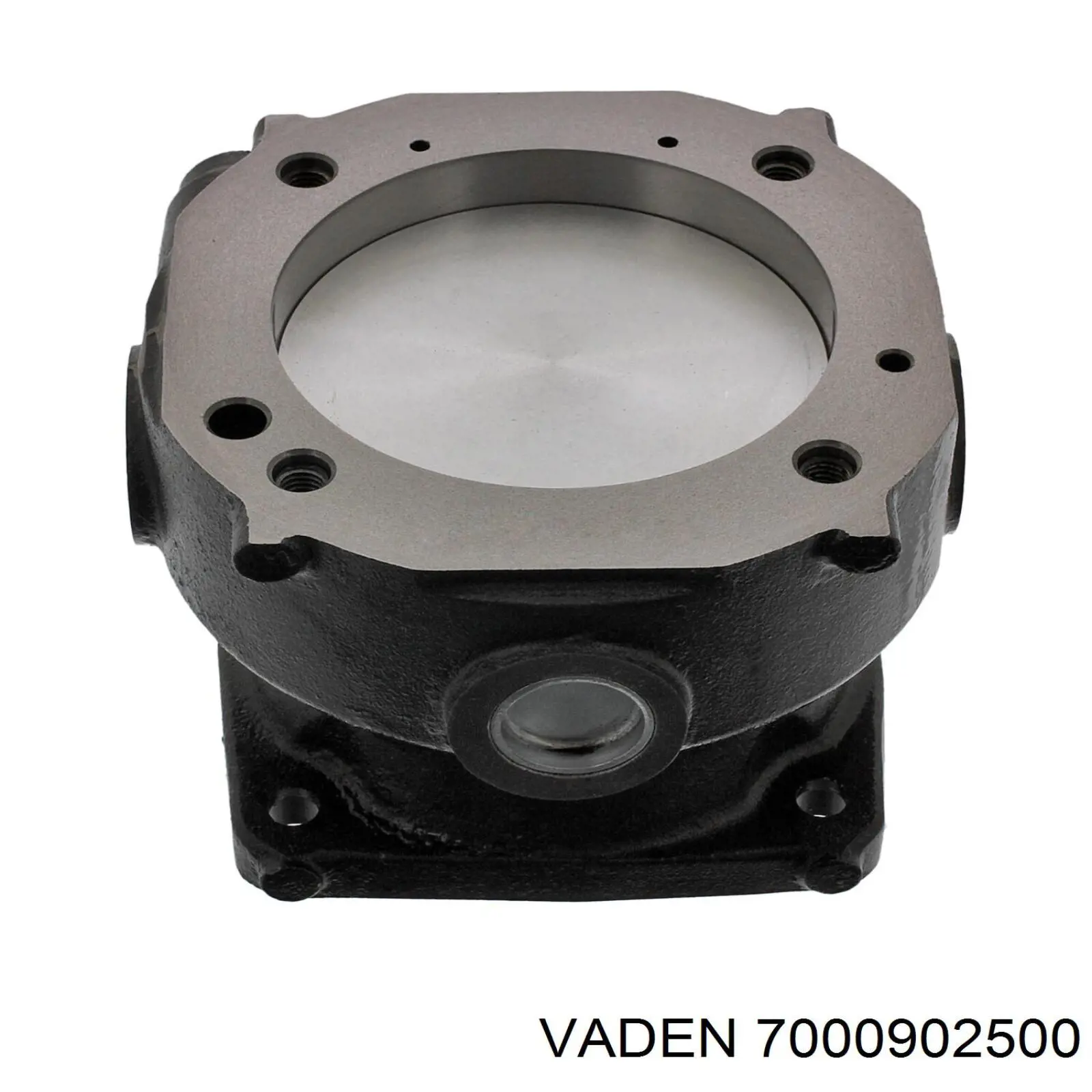 7000902500 Vaden Поршнева група