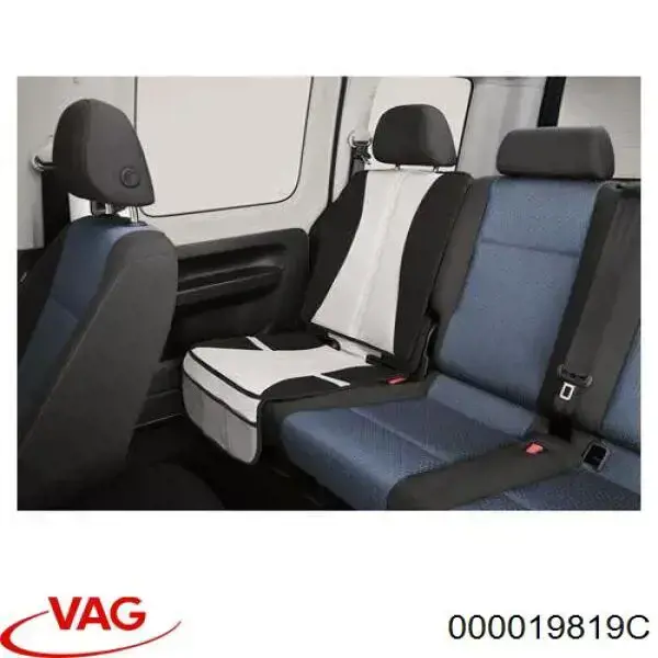 000019819C VAG 