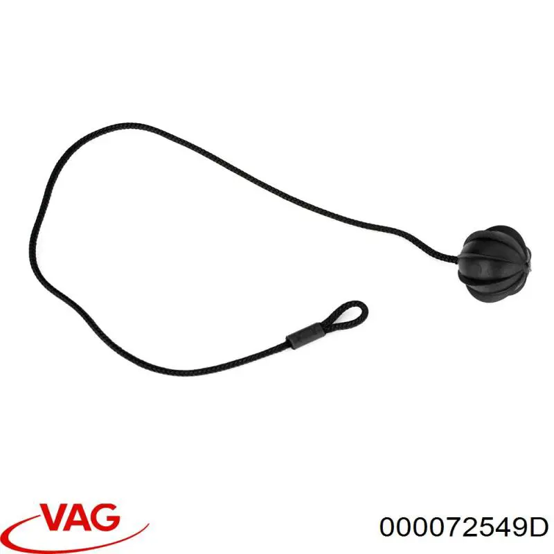 000072549D VAG 