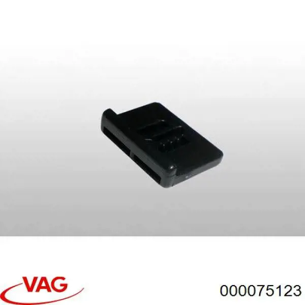 000075123 VAG 