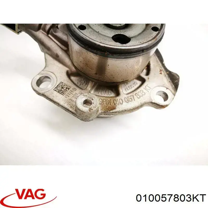  010057803KT VAG