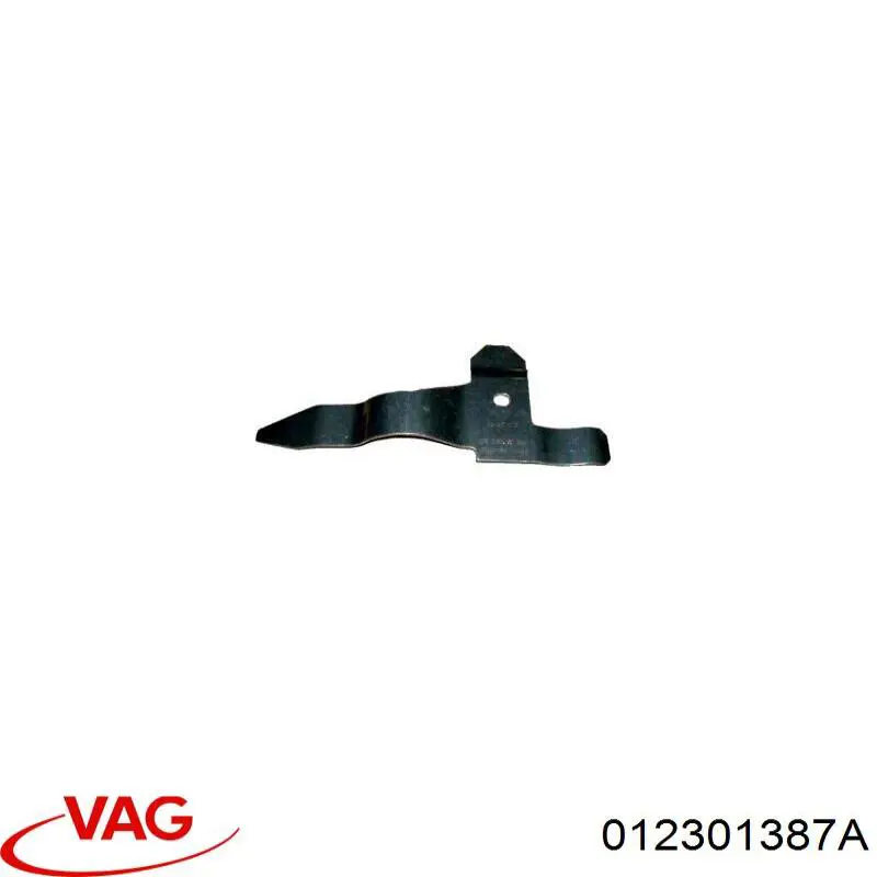 012301387A VAG 