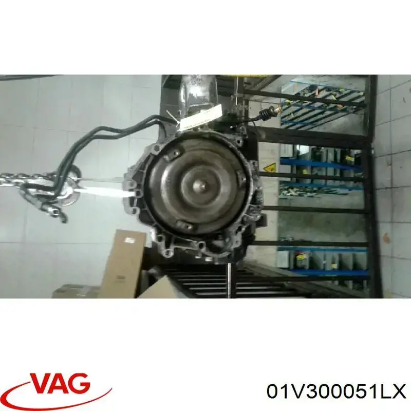  01V300051LV VAG